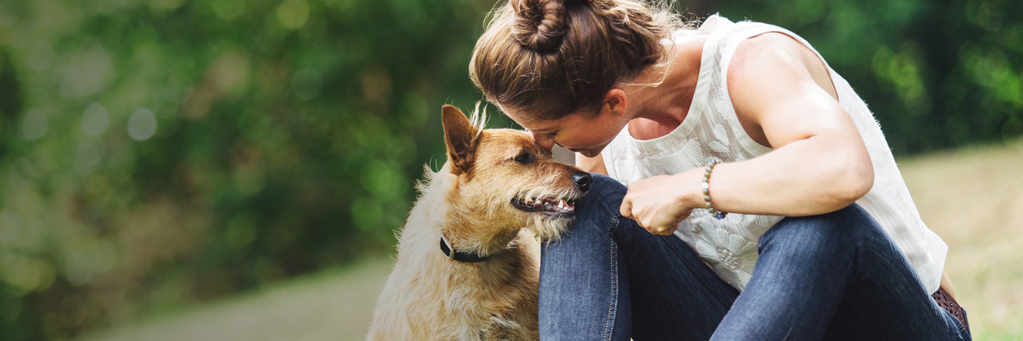 DogWatch of the Western Slope & Southern Utah, Paonia, Colorado and Utah | BarkCollar No-Bark Trainer Slider Image